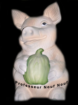Professeur Nouf Nouf